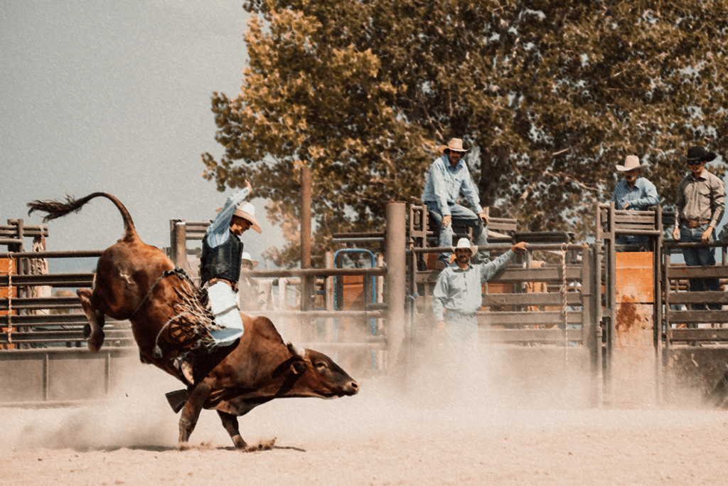 Cowboy Church Rodeo Career Story